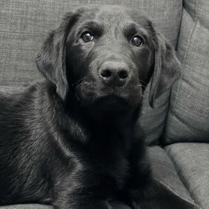 Meet your Posher, Larissa